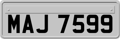 MAJ7599