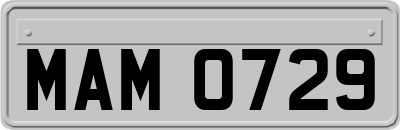 MAM0729