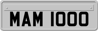 MAM1000