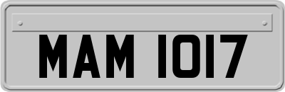 MAM1017