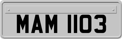 MAM1103