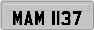 MAM1137