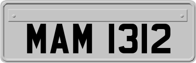 MAM1312