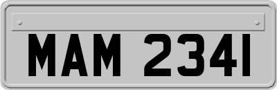 MAM2341