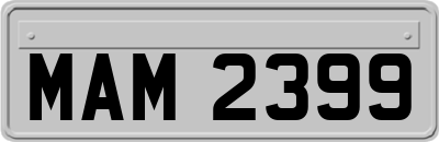 MAM2399