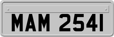 MAM2541