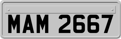 MAM2667