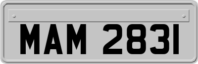 MAM2831