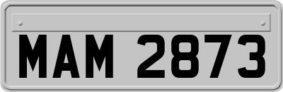 MAM2873