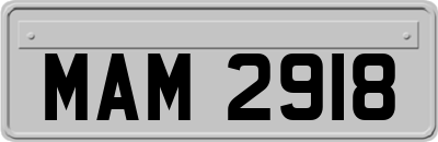 MAM2918