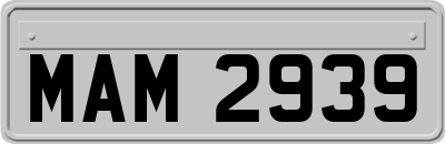 MAM2939