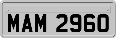 MAM2960