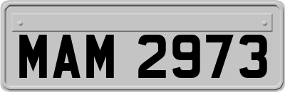 MAM2973