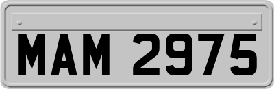 MAM2975