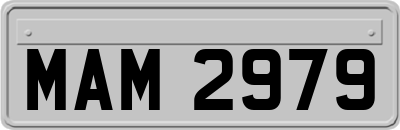 MAM2979