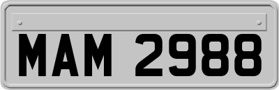 MAM2988