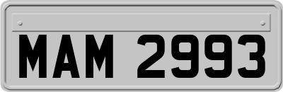 MAM2993