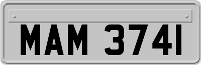 MAM3741