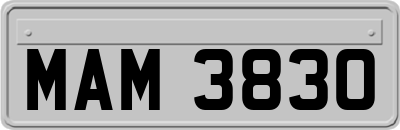 MAM3830