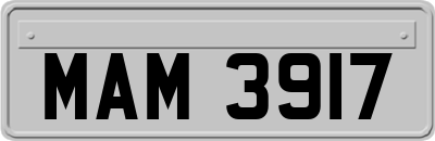 MAM3917
