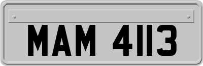 MAM4113
