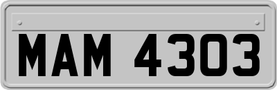 MAM4303