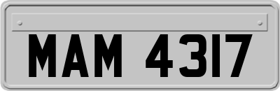 MAM4317