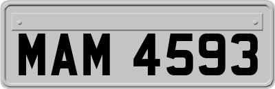 MAM4593
