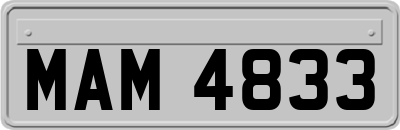 MAM4833