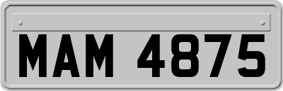 MAM4875