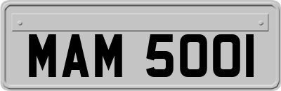 MAM5001