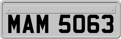MAM5063