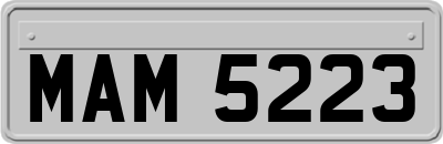 MAM5223