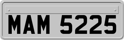 MAM5225