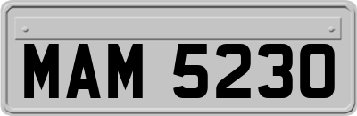 MAM5230