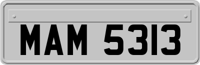 MAM5313