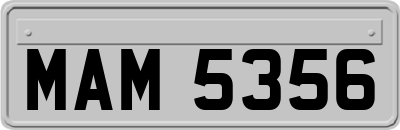 MAM5356