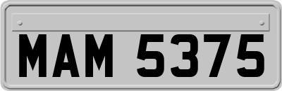 MAM5375