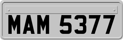 MAM5377