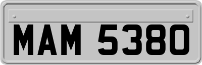 MAM5380