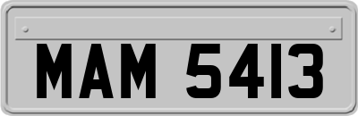 MAM5413