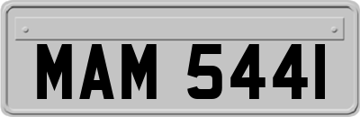 MAM5441