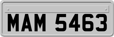 MAM5463