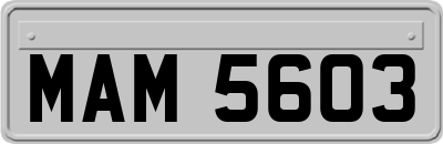 MAM5603