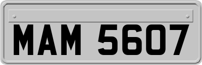 MAM5607