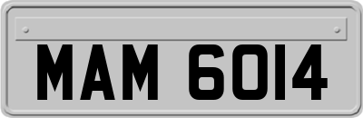 MAM6014