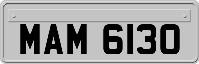 MAM6130