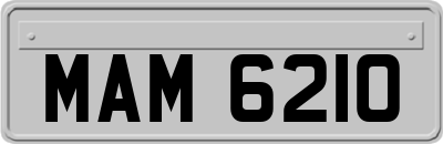 MAM6210