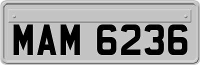 MAM6236