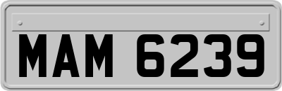 MAM6239